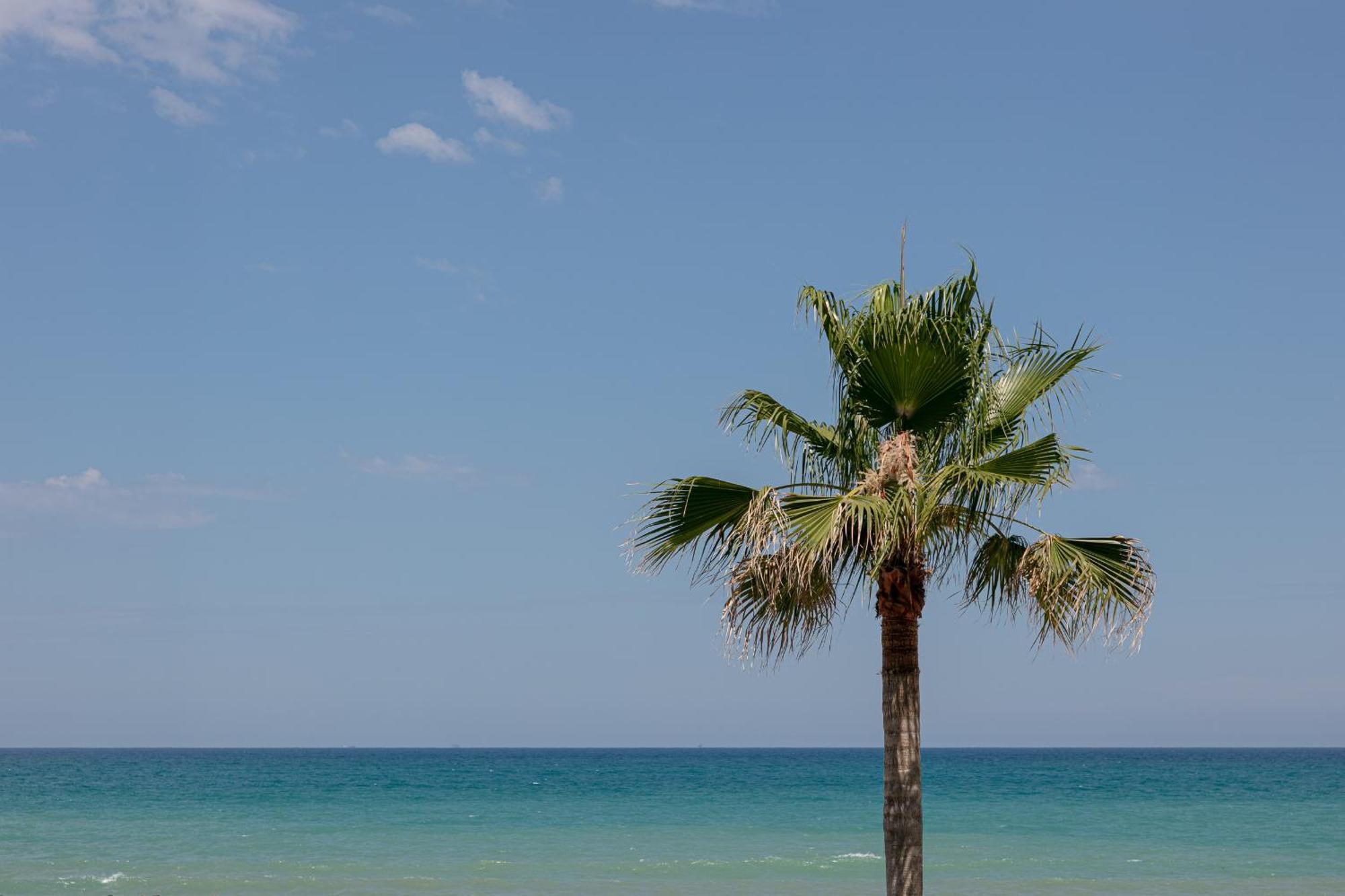 King'S Rooms Termoli Exterior foto